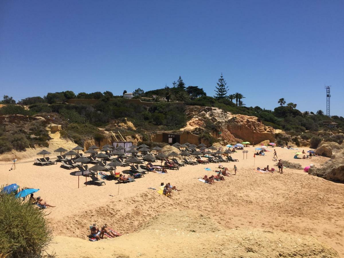 אלבופיירה Os Apartamentos A Ramos Na Praia Da Gale Estao Inserido Em Condominio Com Piscina, Fica Apenas A 350 Metros Da Praia Da Gale - Apartamentos Com Ar Condicionado Tanto Nos Quartos Como Na Sala, Smart Tv Com Prime Video E Cozinha Completa מראה חיצוני תמונה